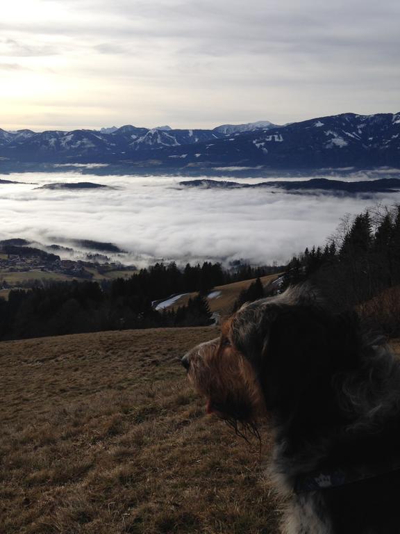 Ruhige Wohnung Mit Schoenem Eigengarten In Seeboden Am Millstaettersee Luaran gambar