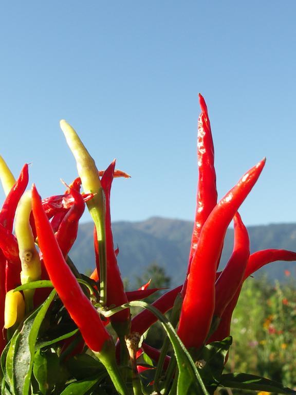 Ruhige Wohnung Mit Schoenem Eigengarten In Seeboden Am Millstaettersee Bilik gambar