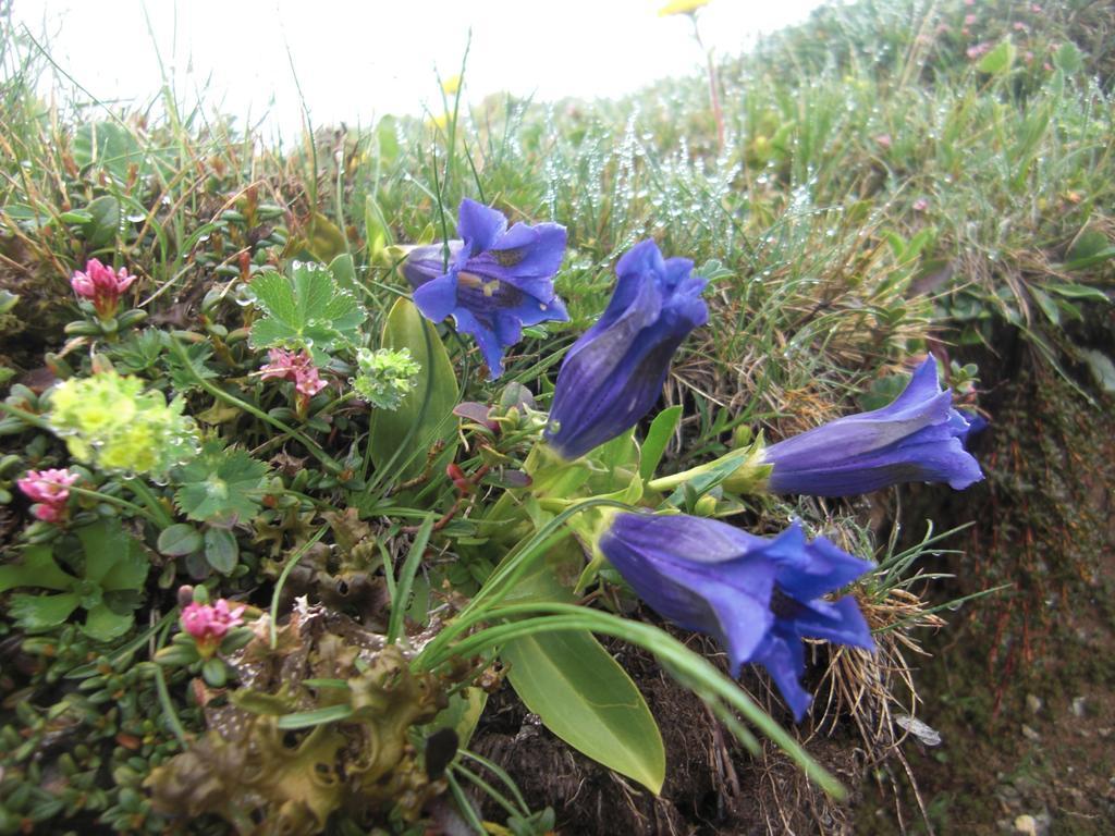 Ruhige Wohnung Mit Schoenem Eigengarten In Seeboden Am Millstaettersee Luaran gambar